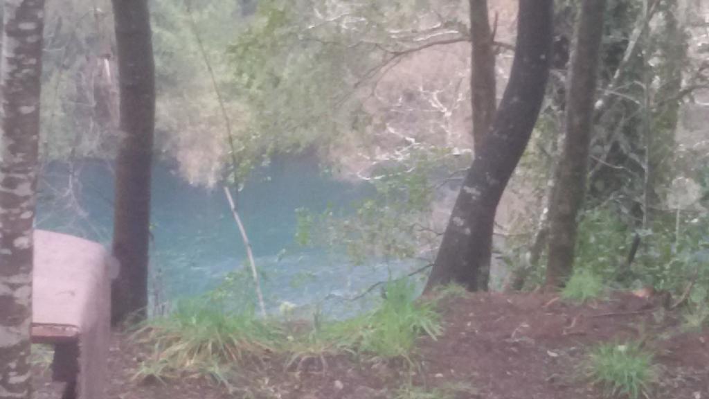 Cabanas Portal Del Rio Villarrica Buitenkant foto